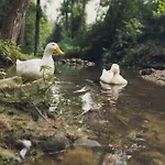 U Ani Farma Krosnica (Lesser Poland)