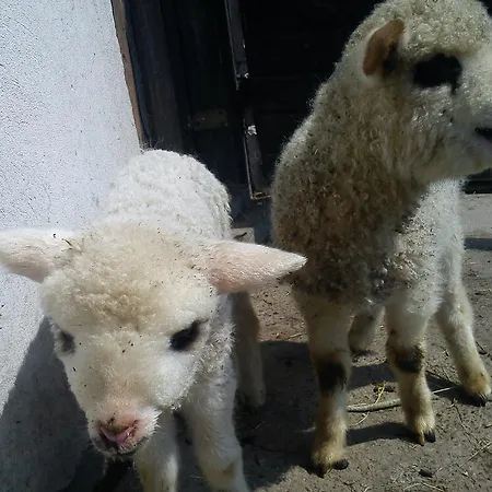 Agroturismo U Ani Krosnica (Lesser Poland)